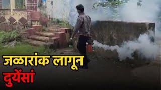 Mosquito Menace Troubles Colleavaddo-Assolna Villagers||GOA365 TV