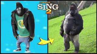 Sing 2 Characters In Real Life And Other Favorites!