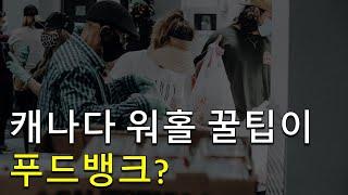 캐나다 워홀 꿀팁이 푸드뱅크?