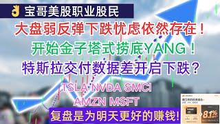 美股大盘弱反弹下跌忧虑依然存在！开始金子塔式捞底YANG ! 特斯拉交付数据差开启下跌？TSLA NVDA SMCI AMZN MSFT! 10022024