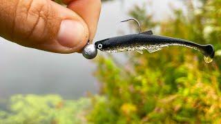 Light Lure Fishing for River Perch!