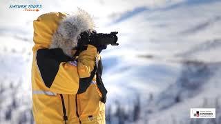 Arctic Circle Tour:  Nature Tours Yukon's  Canadian Signature Experience