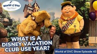 What is a Disney Vacation Club Use Year?