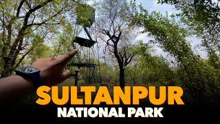 WATCH TOWERS SE BIRDS DEKHE YAHAAN  | SULTANPUR NATIONAL PARK