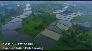 Fish Farming Pakhanjur | Drone View - DOF chhattisgarh | Machli Palan | Blue Revolution-Fish Farming