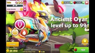 Ancient Oyar level up to 99 with 6 star-Dragon Mania Legends | DML