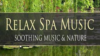 Relax Spa Music - Music for Yoga, Meditation, Massage, Reiki, Study, Sleep