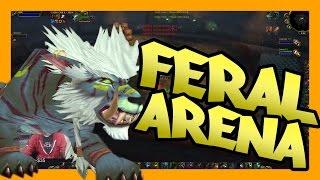 Feral Arena: 2v1 High(ish) mmr