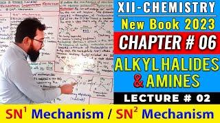 CH#6 Alkyl Halides & Amines | Lec#2 | XII-Chem-2023