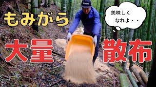 もみがらを使った土づくり｜大量に入れて微生物で分解｜たけのこ収穫に向けた準備