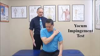 Yocum Impingement Test