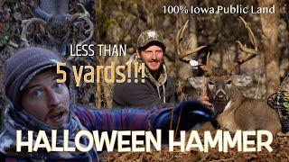 GIANT BUCK hits THE DIRT at 5 YARDS | 100% PUBLIC LAND in IOWA | Behind the Bow