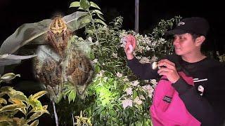 MAY GAGAMBA SA TABING DAAN | SPIDER HUNT AT NIGHT