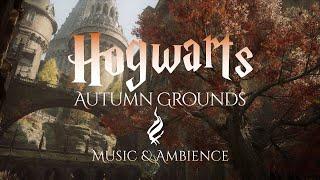 Fall Grounds at Hogwarts | Harry Potter Music and Ambience from Hogwarts Legacy