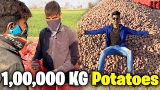 Underground Potatoes Farming  | Allu Sy Pura Ground Full Ho Gia 