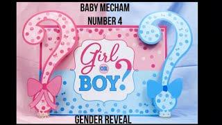 Baby Mecham number 4 Gender Reveal ( Ellie & Jared)