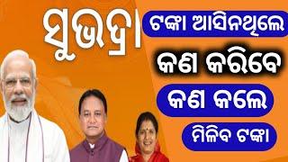 ସୁଭଦ୍ରା ଟଙ୍କା ଆସିନଥିଲେ କଣ କରିବେ | କଣ କଲେ ଟଙ୍କା ଆସିବ | subhadra yojana |