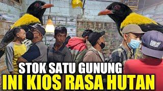 MEWAH ASLI HUTAN !!! NEMU BURUNG ANTIK SATU2NYA DIPASAR PRAMUKA PANTES JD BURONAN KICAU MANIA