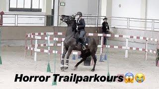 Chaos- Trail Working Equitation in Stadl-Paura