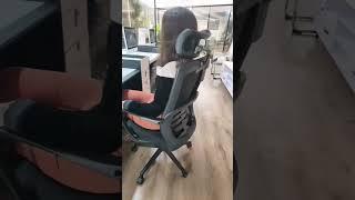 Office chair with headrest