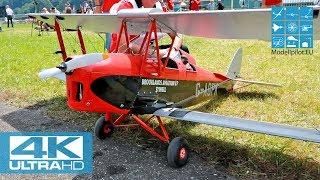 RC DH.82A TIGER MOTH 1:4 JUAN GONZALEZ ROBLES (ESP) F4 SCALE WORLD CHAMPIONSHIP 2018 MEIRINGEN [4K]