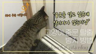 [sub]고양이 키우는 집 중문/방묘문 팁│in Korea house for cats(inner gate setting)