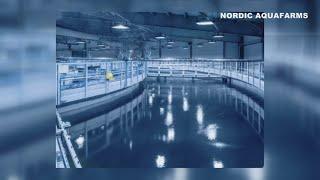 Nordic Aquafarms faces another blow to Belfast fish farm project