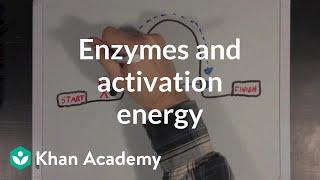 Enzymes and activation energy | Biomolecules | MCAT | Khan Academy