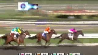 2009 Breeders Cup Sprint - Dancing In Silks