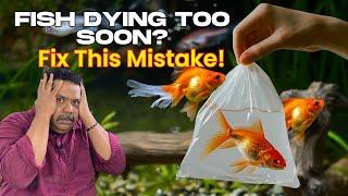 HOW to STOP Fish from DYING with This Simple Fix!