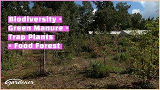 Food Forest-permaculture methods | Volunteer Gardener