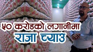 ३ लाख पोका च्याउ एकै लटमा || King Oyster Mushroom || Paurakhi TV