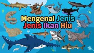 Belajar Mengenal Nama Hewan Laut | Jenis Jenis Hiu | Shark | For Kids