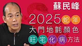 蘇民峰 • 2025蛇年大門地氈旺宅化病方法