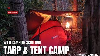 Winter Wild camping Scotland. Solo tarp and tent camp in the forest.