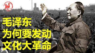 Why did Mao Zedong launch the Cultural Revolution?