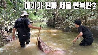 여기가 서울한복판이라고? 그런데 족대질중 생각도 못한 거대 외래어종 출현!