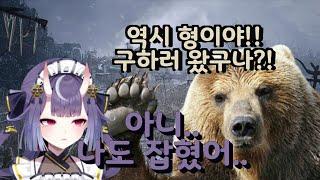 바하 곰덫처리반