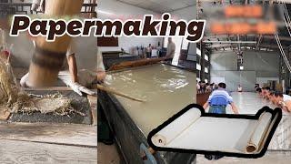 Papermaking Technology: How to Make the Rice Paper? 千锤百炼造纸术：宣纸制作大揭秘