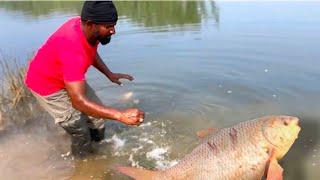 Fishing catching videos | fish videos | botel Fishing Techniques | river fish catching techniques