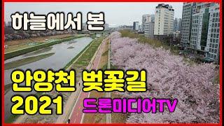 하늘에서본 안양천 벚꽃길 2021, 4k , 사진가조성욱의 드론미디어TV