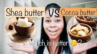 Shea butter VS Cocoa butter which one is good for your skin | Debunking skincare myths