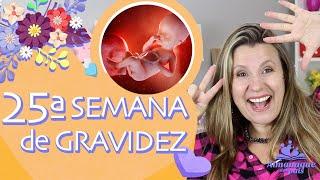 25TH WEEK OF PREGNANCY | Pain in Piriquita, Baby, Constipation | 2nd QUARTER OF PREGNANCY