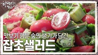 [한국인의 밥상] 어디서도 맛보기 힘든 숲의 생기가 담긴 ‘잡초샐러드’ | KBS 240926 방송