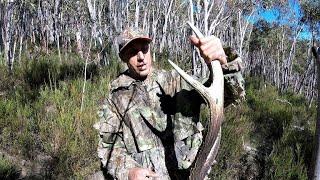 Massive Sambar Deer Antler Find - Solo Sambar Hunter (Archives)