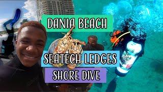 Dania Beach shore dive