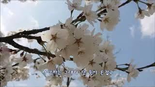 벚꽃엔딩 / 버스커 버스커