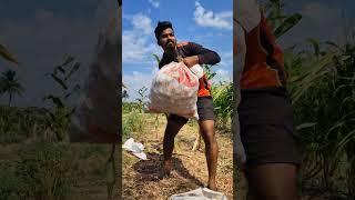#shorts Kubota With The New Trend. //Krushi Mitra Vishal //