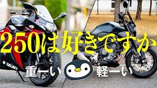 GSX250RとCB250R、所有者目線の特徴比較