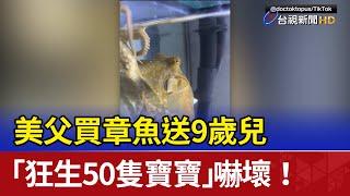 美父買章魚送9歲兒 「狂生50隻寶寶」嚇壞！